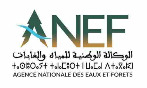 ANEF Agence nationale des eaux et forêts Maroc