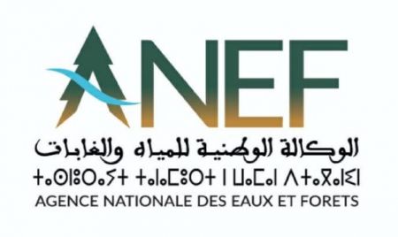 Agence nationale des eaux et forêts ANEF Maroc