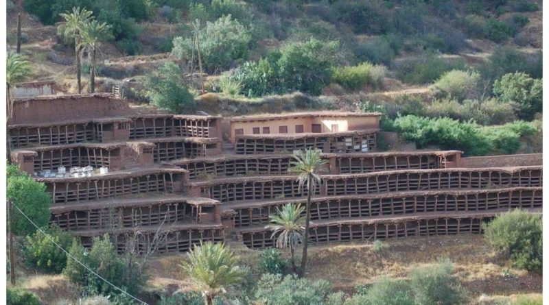 Maroc: le rucher d’Inzerki, le plus grand et le plus vieux rucher traditionnel au monde